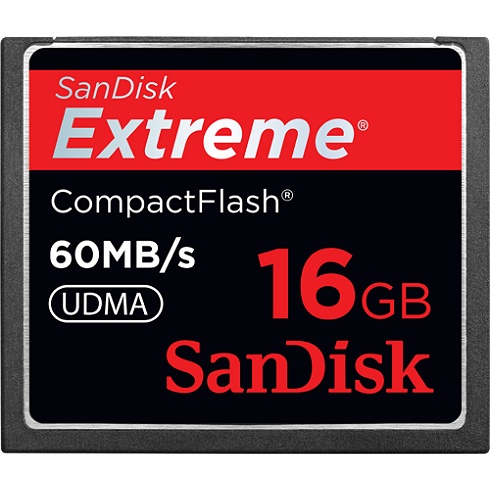 SanDisk SDCFX-016G-A61