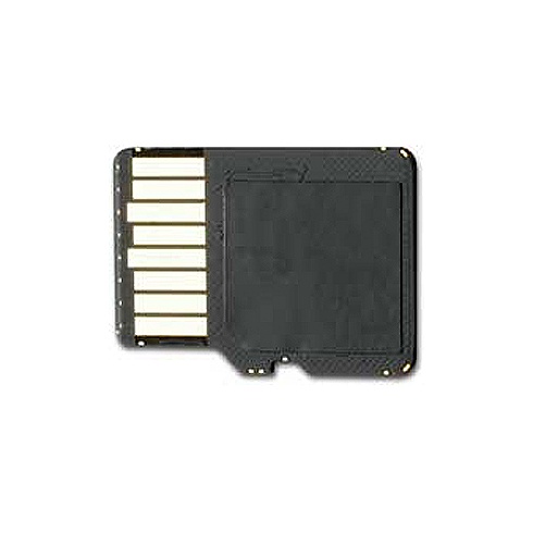 Garmin 256 MB microSD Memory Card