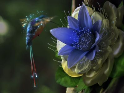 Samsung Species TV spot | 0:17