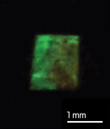Color Changing Device Iridescent fish inspires a new color-changing device
