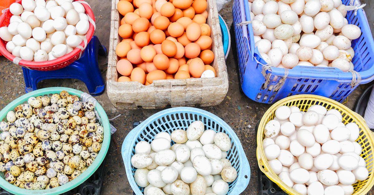 A detailed closeup of organic white legumes, a healthy food option rich in protein, set against a neutral background.