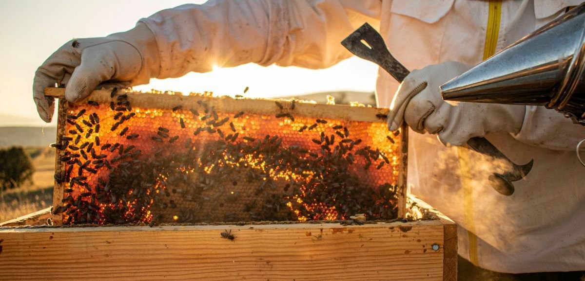 The warm, orange and red flames from the fireplace, burning wood, exude a comforting heat, reminiscent of autumn.