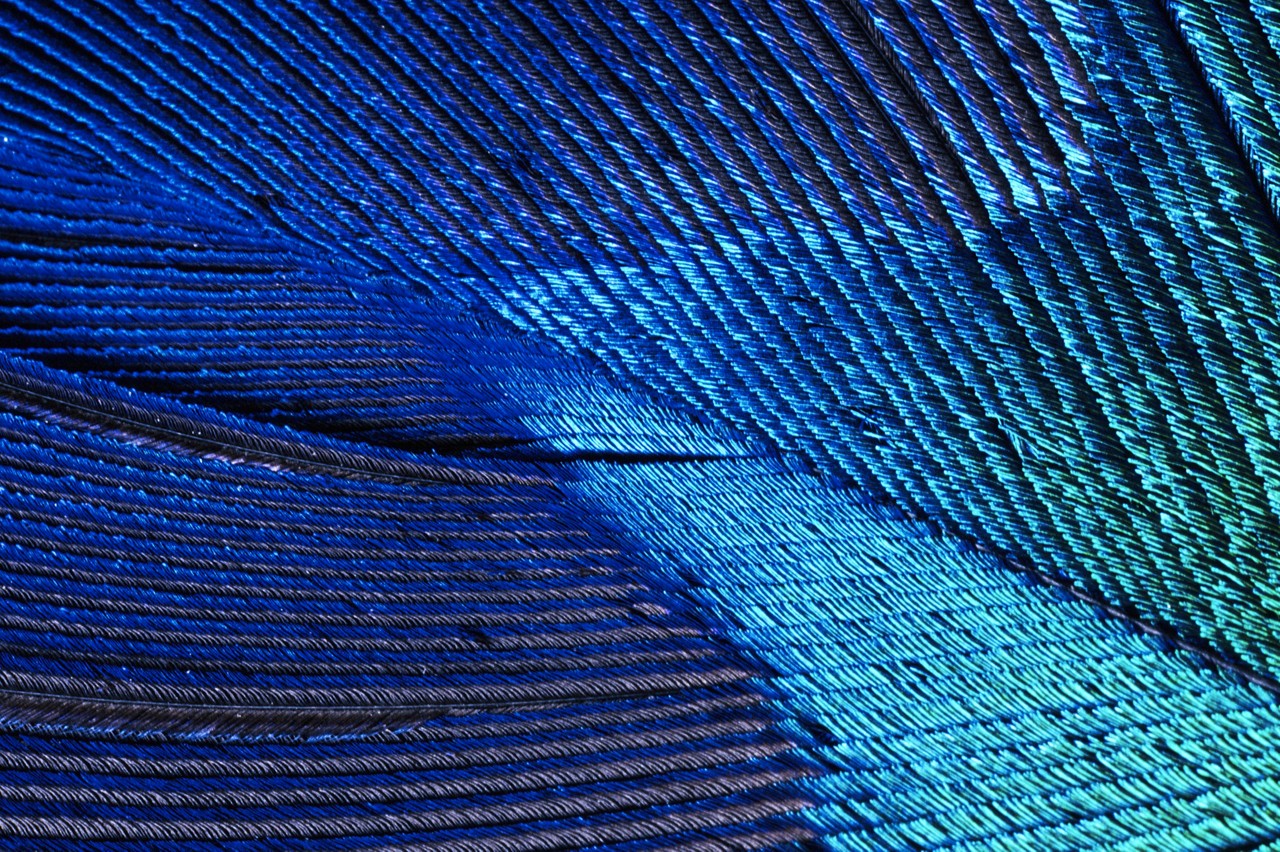 Close-up of a blue pattern