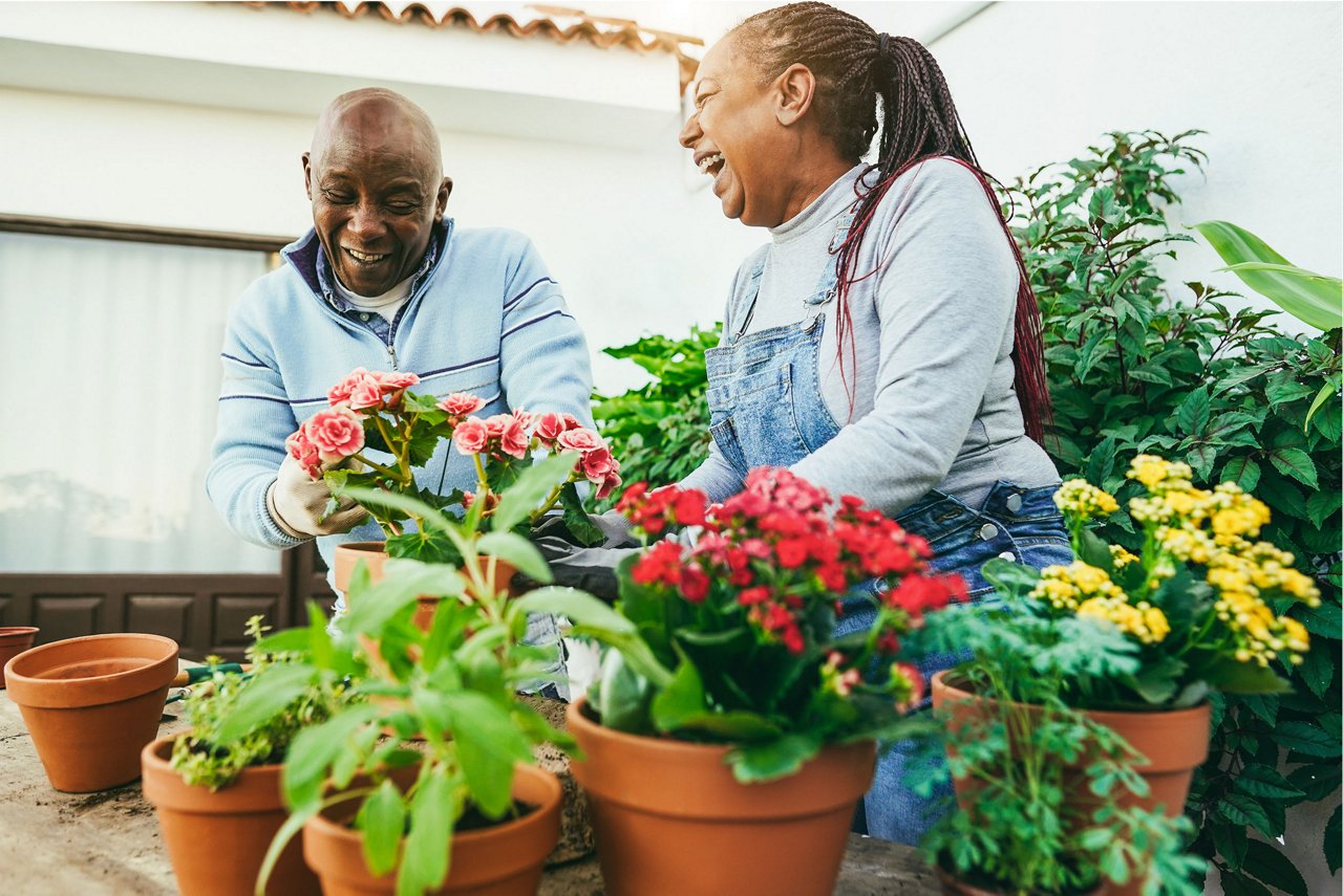 Smiling couple gardening together in an outdoor space filled with flowers and plants.