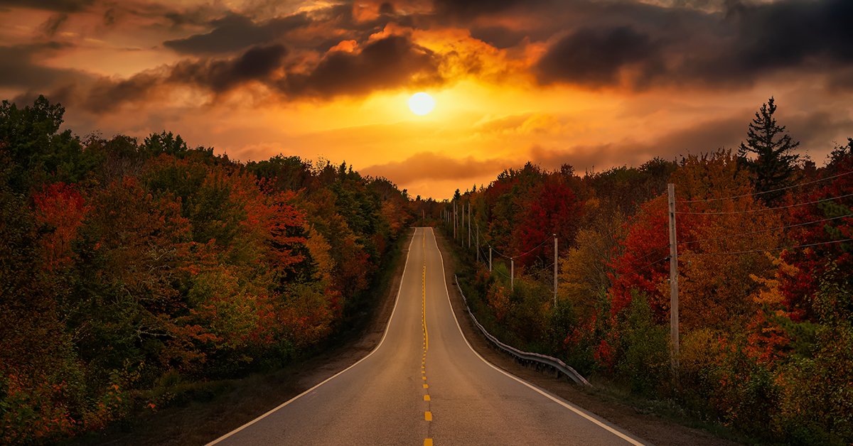 Dreamy Scenic Road in the nature with Vibrant Fall Color Trees. Dramatic Sunset Artistic Render. Road in Nova Scotia, Canada.