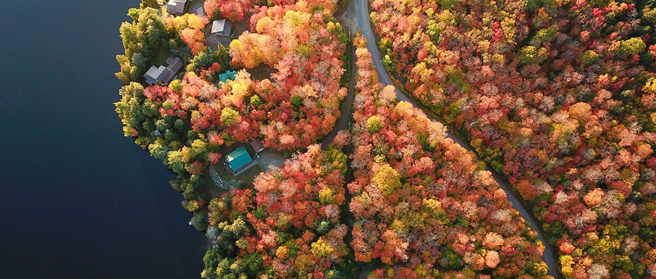 Vue aérienne d’une forêt au bord d’un lac en automne.