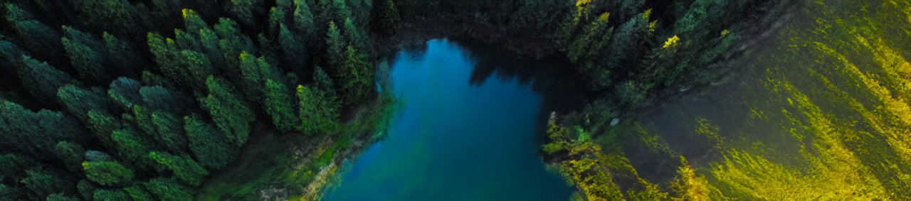Drone view of lake in forest ( horizontal )