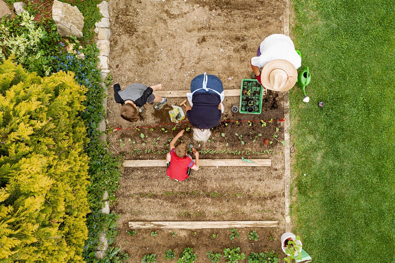 Top down view on granparents planting with two grandchildren, 7 and 9 years old in garden.