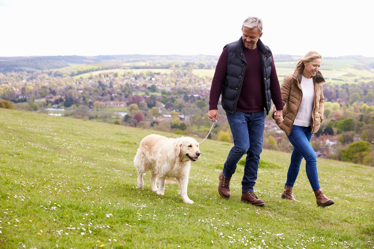 A couple taking a golden retriever for a walk
