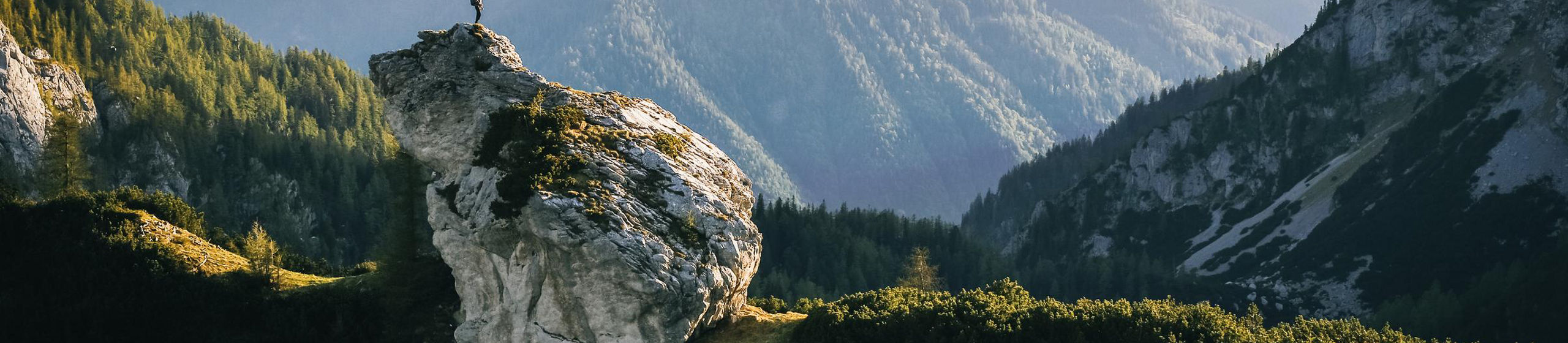 Capital growth progressive