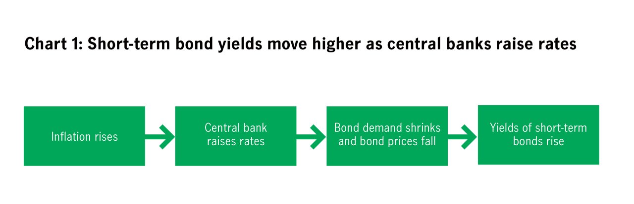 The relationship between central bank rates and bond yields