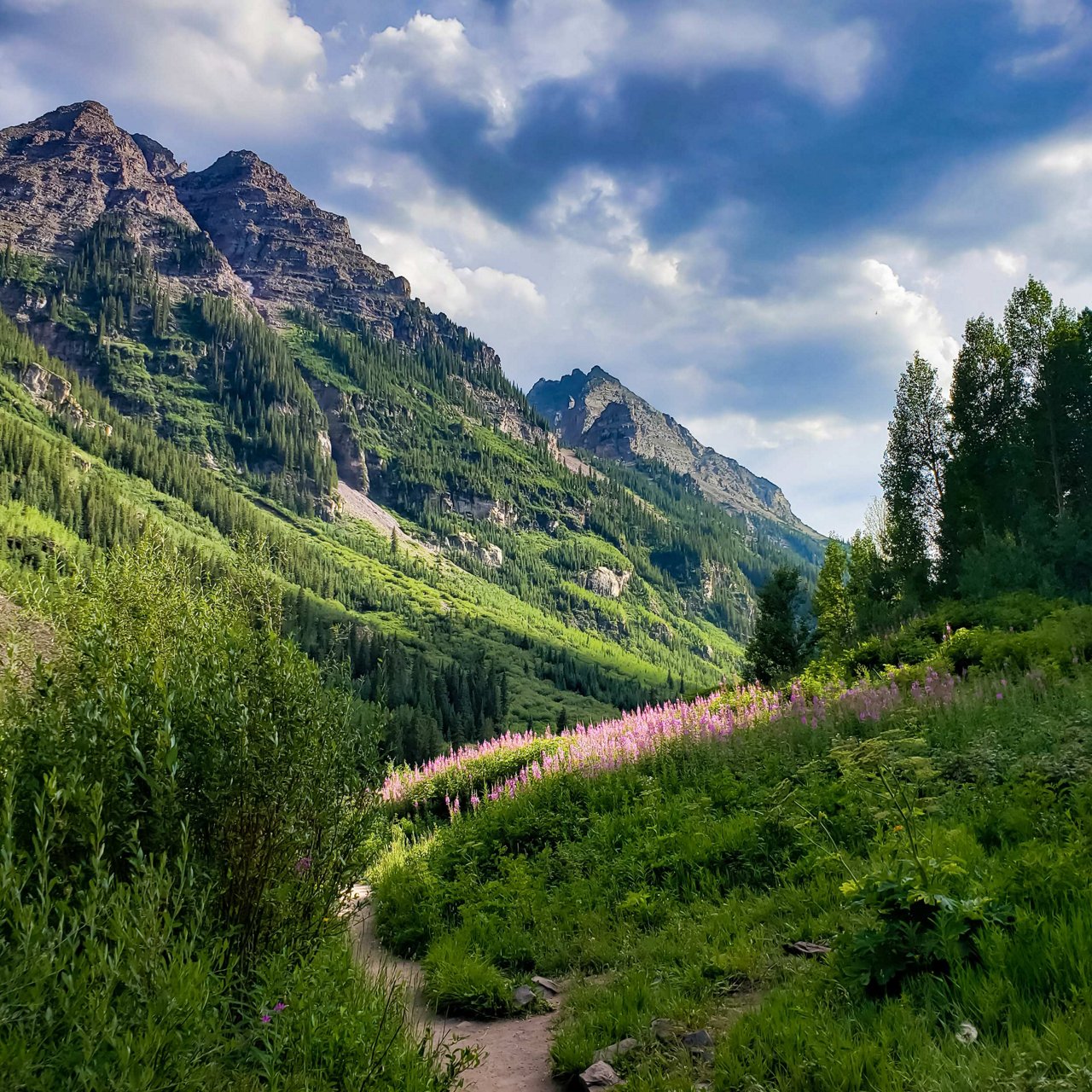 A mountainous landscape with forested green slopes, rocky peaks, and a partly cloudy sky, with pink wildflowers and a path in the foreground.