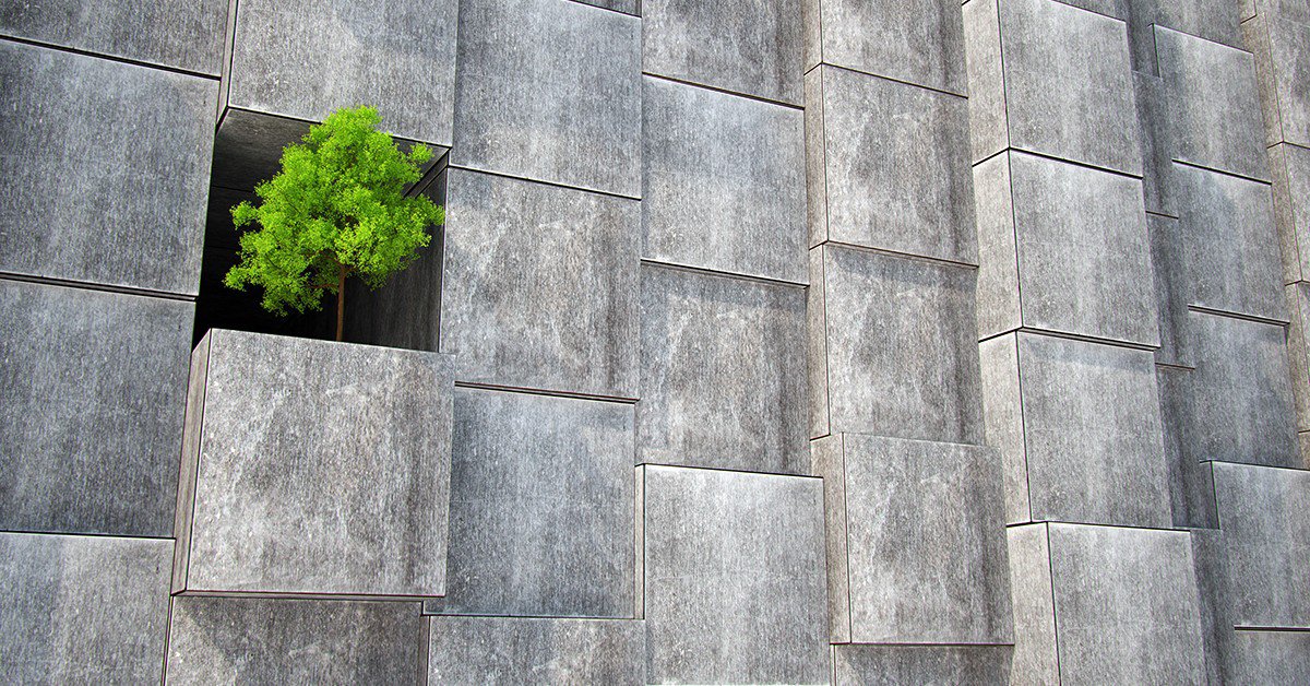Mur avec un arbre au milieu