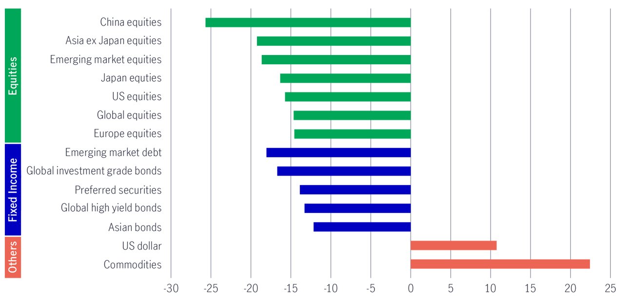 Global asset class performance 2022
