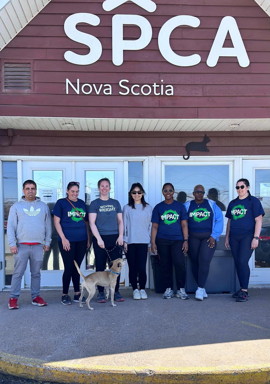 Des collègues font du bénévolat à la SPCA de Nouvelle-Écosse, à Dartmouth. 