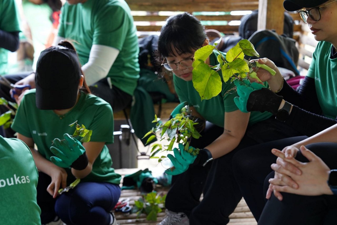 Haribon seeding resized4