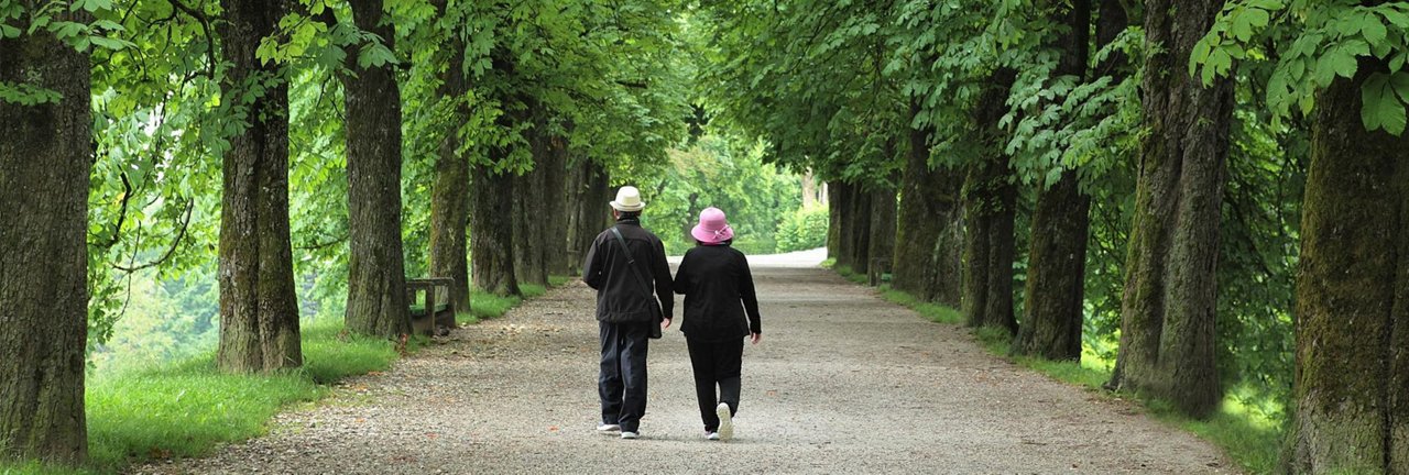 How to create regular income for yourself in retirement top