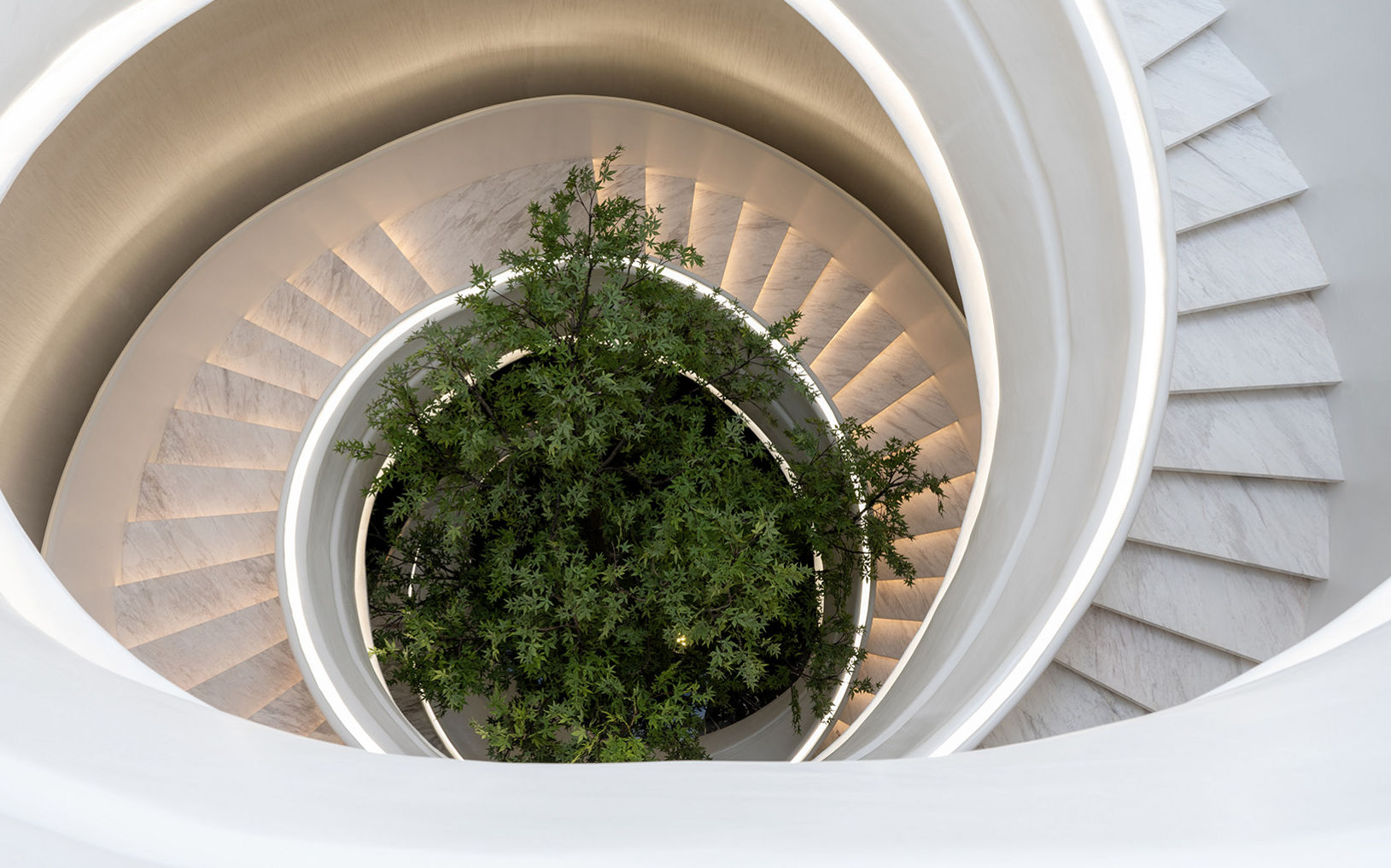 An elegant white spiral staircase wraps around a lush green tree at its center. The image is captured from above, emphasizing the circular architectural design. Soft, warm lighting highlights each step and creates a gentle gradient along the curves. The contrast between the minimal white structure and vibrant foliage gives the space a modern, tranquil atmosphere.