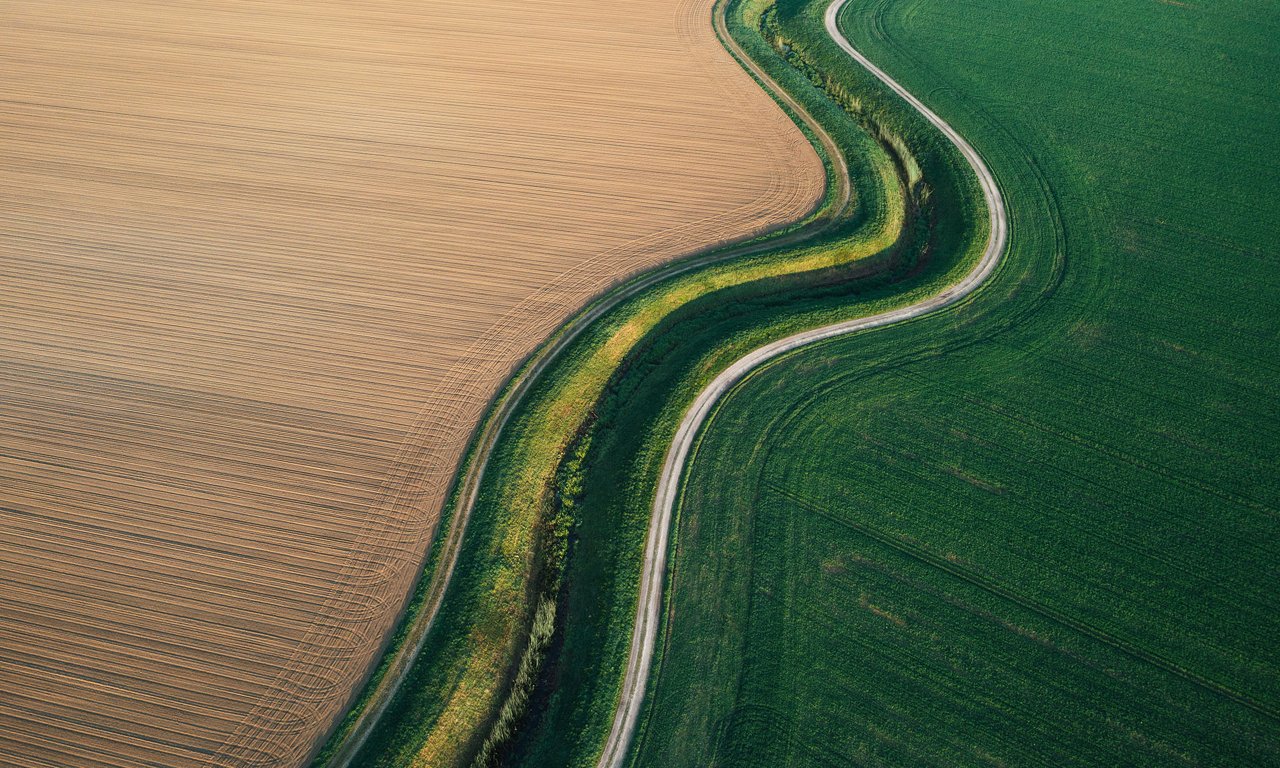 An aerial photograph shows a winding road curving between two expansive agricultural fields. One side features a neatly plowed tan field, while the other side is a lush green crop field. A narrow strip of mixed vegetation follows the road’s serpentine path, creating a strong visual contrast. The image emphasizes patterns, textures, and color blocks in a rural landscape.