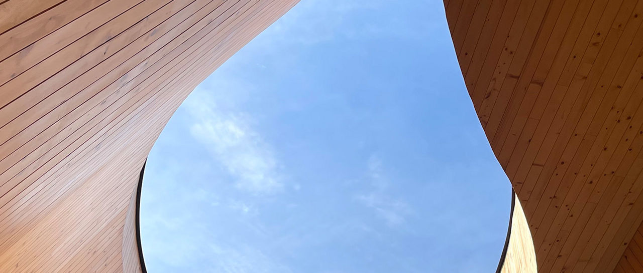 A leafy tree grows beneath an organically shaped skylight in a contemporary wooden atrium. Warm timber walls curve upward, framing an irregular opening to the blue sky. Soft daylight pours through the skylight, highlighting the natural grain of the wood. The composition emphasizes biophilic design and the connection between interior architecture and nature.