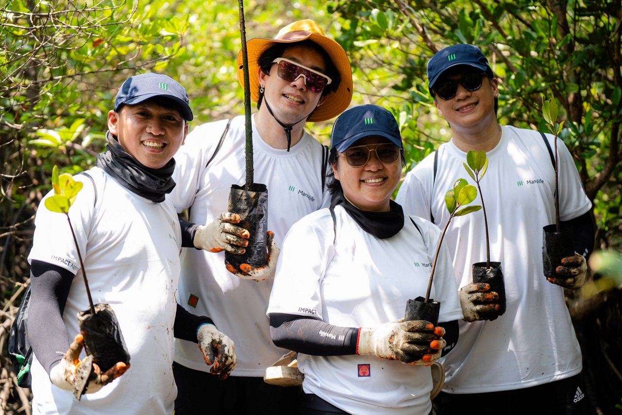 volunteers planting mangrove trees
