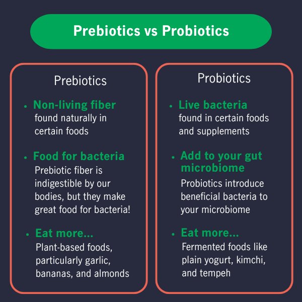 prebiotic vs probiotic