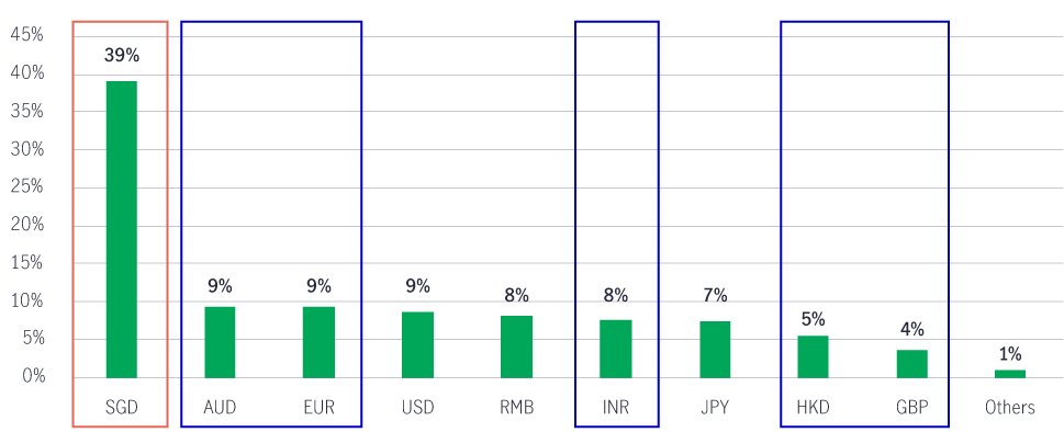 Reit holdings debt by currency