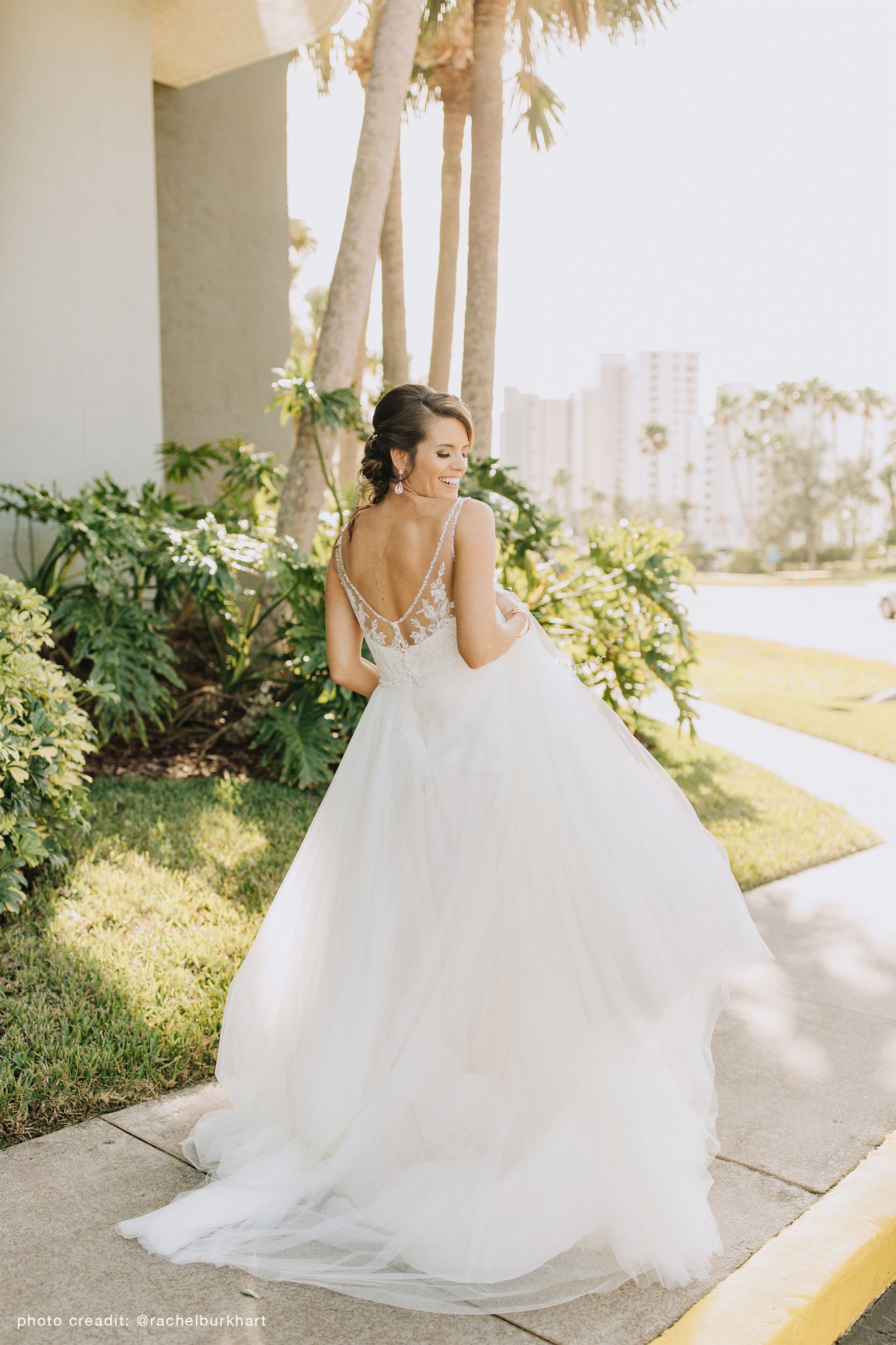 bhldn cassia