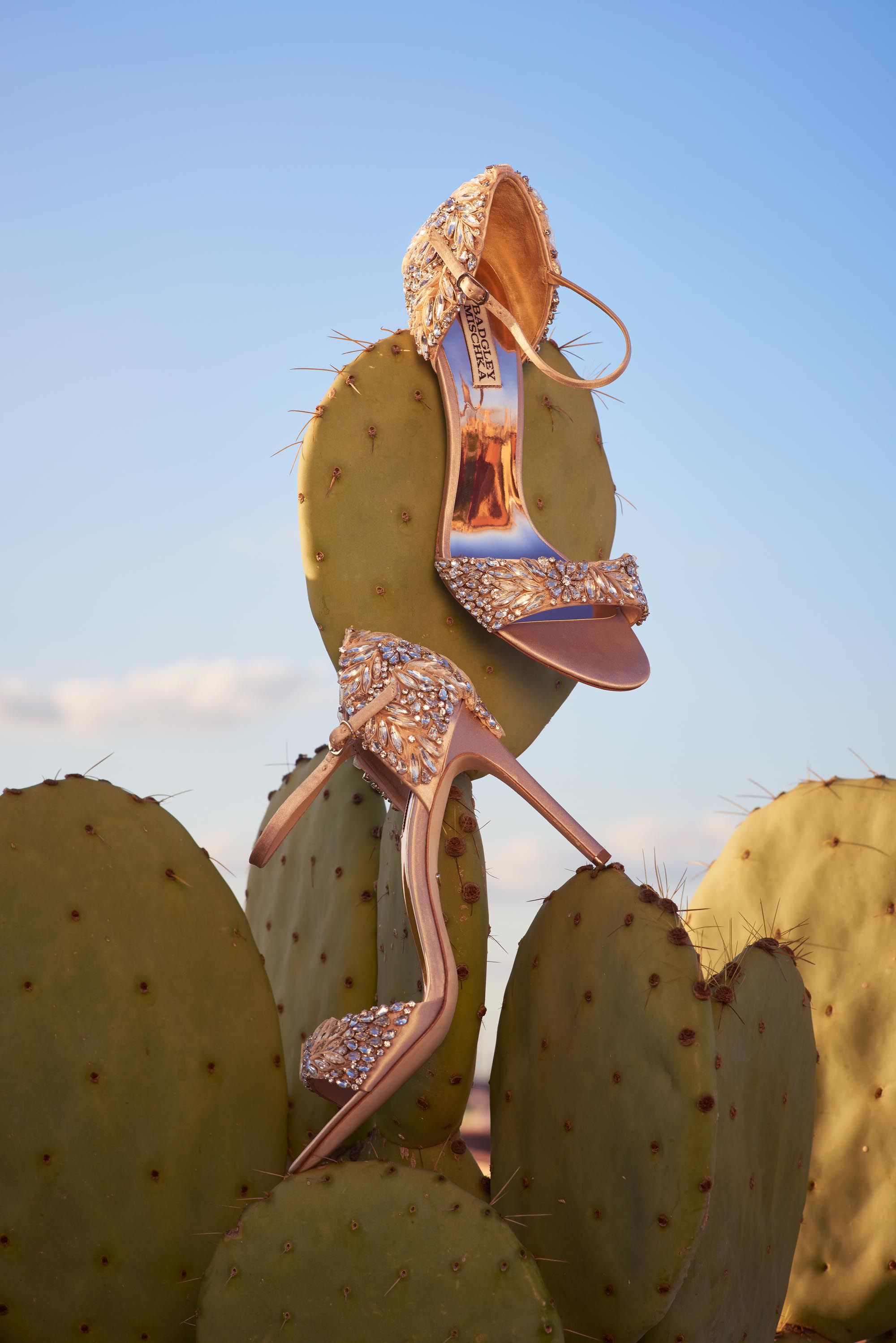 badgley mischka tampa heel