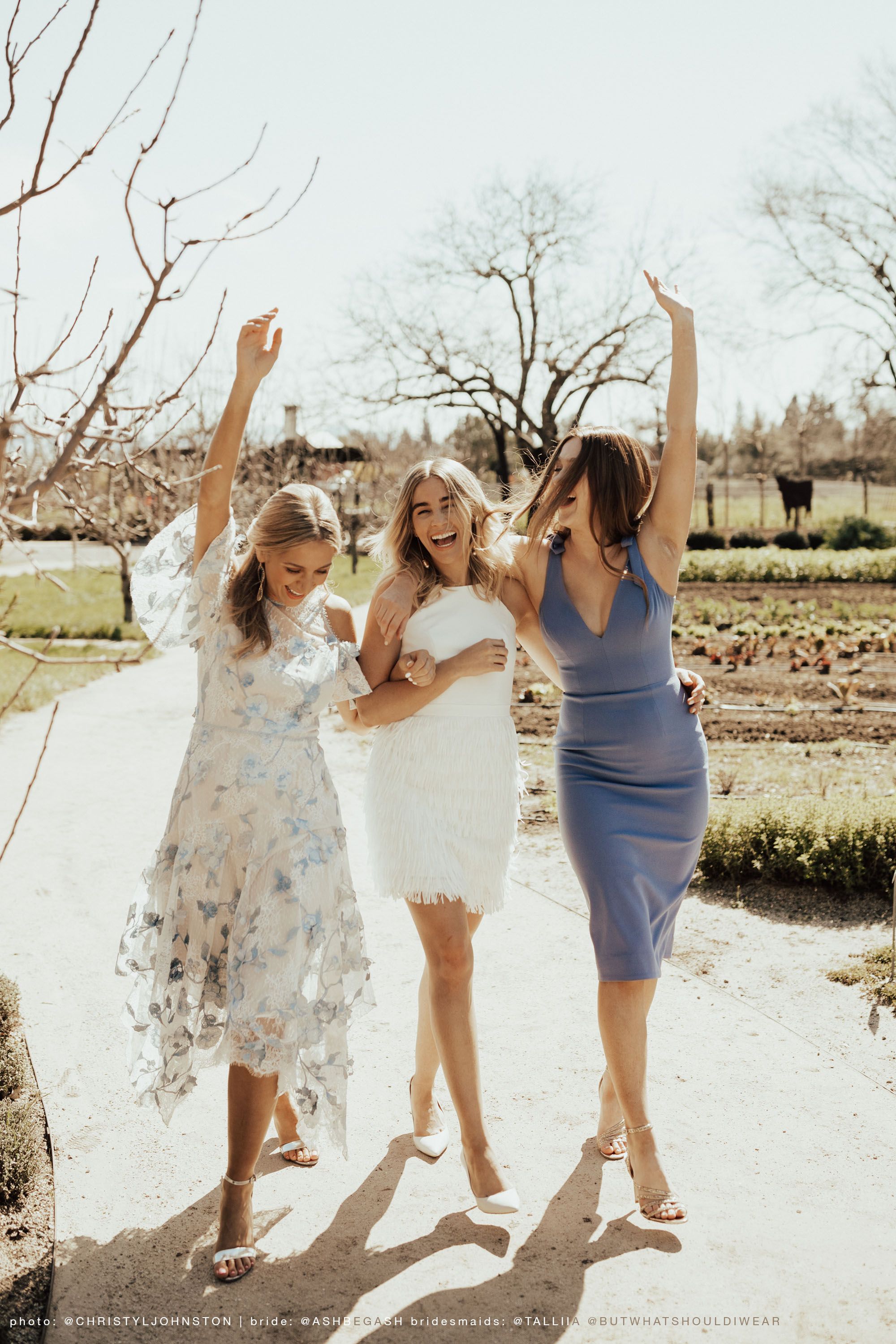 jena dress dress the population