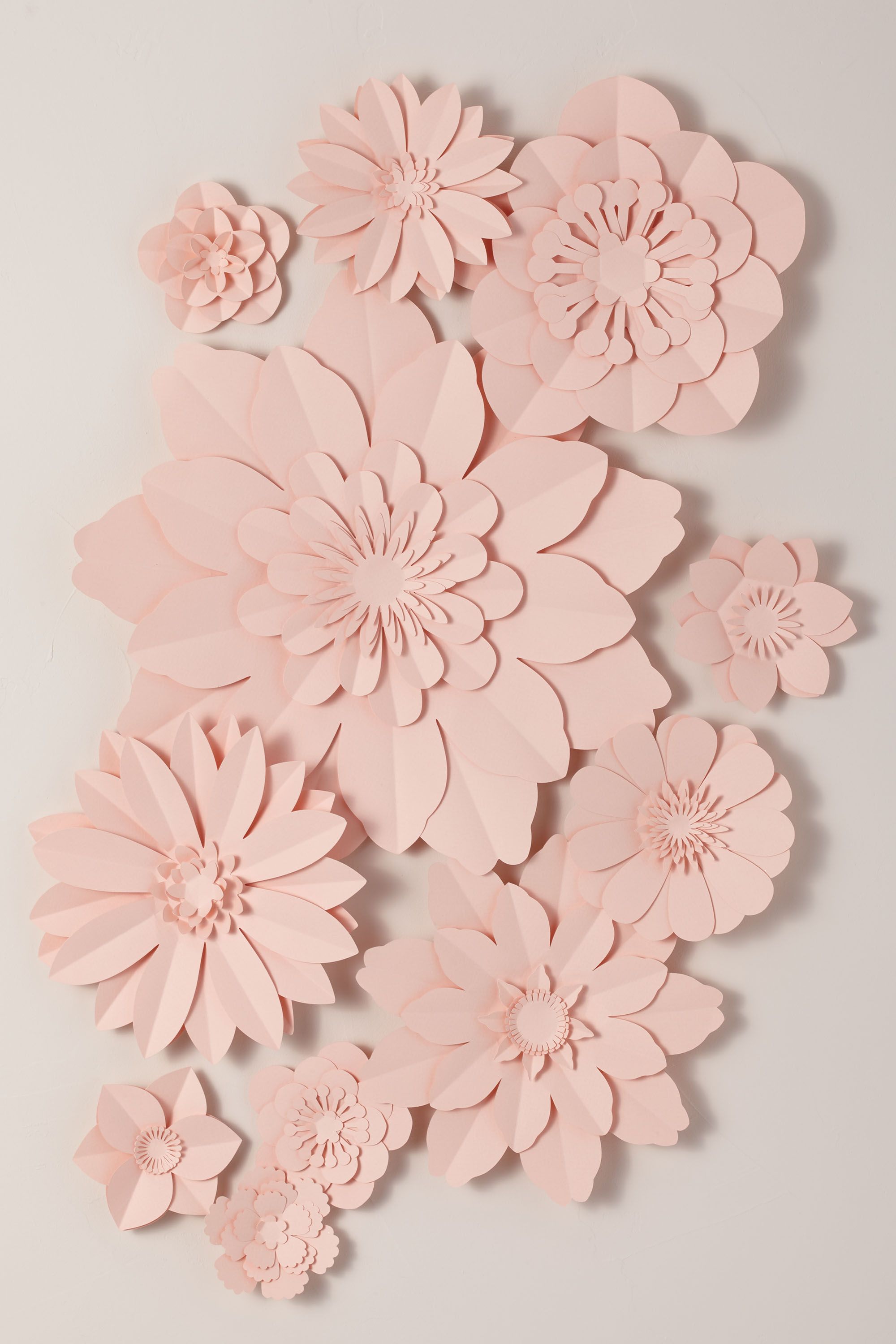 Paper Flower Wall Art Paulbabbitt Com