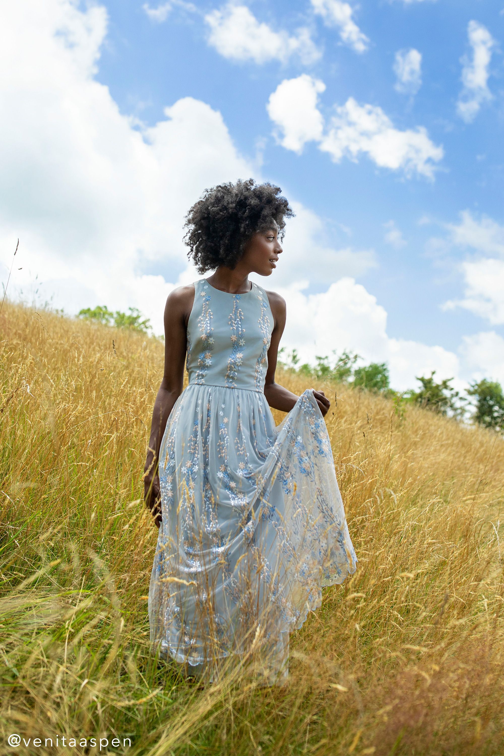 bhldn hydrangea dress