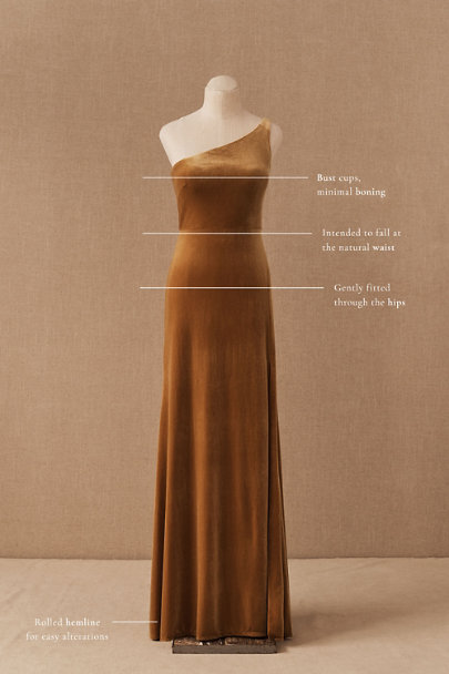 View larger image of Jenny Yoo Cybill Velvet Maxi Dress