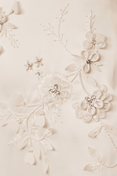 Sachin & Babi Diana Gown - BHLDN Sachin & Babi Diana Gown - BHLDN