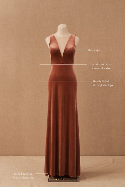 View larger image of Jenny Yoo Logan Velvet Maxi Dress