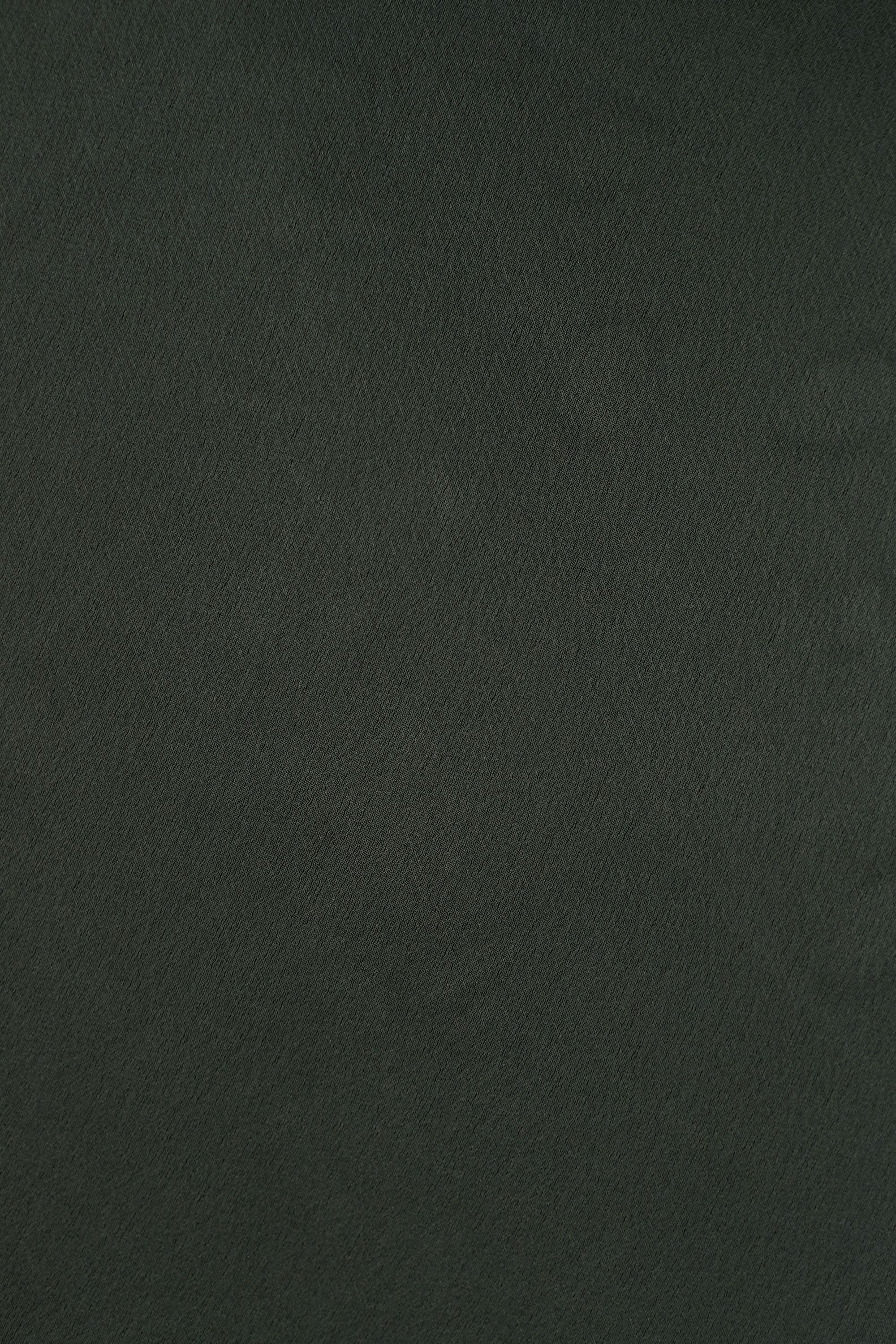 bhldn tansy