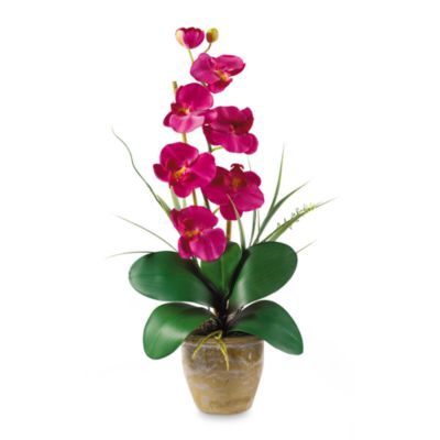 Nearly Natural Phalaenopsis Orchid Silk Flower Arrangement in Beauty  Bed Bath \u0026 Beyond