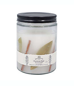 Vela en vaso de vidrio Bee & Willow™ Home Spring Corscian Sage™ de 425.24 g