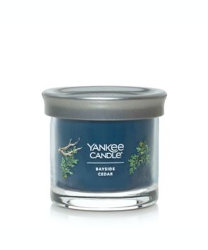 Vela chica en vaso Yankee Candle™ Signature Collection aroma Bayside Cedar