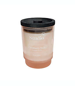 Vela en vaso de vidrio Studio 3B™ aroma Cranberry Teak de 226.79 g