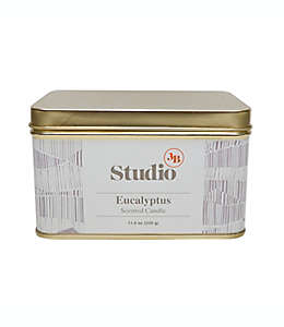 Vela en lata Studio 3B™ aroma eucalipto de 311.84 g