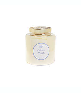 Vela en vaso de vidrio Wild Sage® aroma Golden Myrrh de 567 g