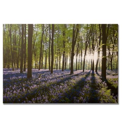 Bluebell Fields Landscape Canvas Wall Art - Bed Bath & Beyond