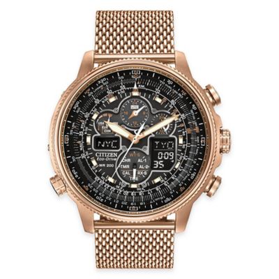 citizen eco drive watch and bracelet set