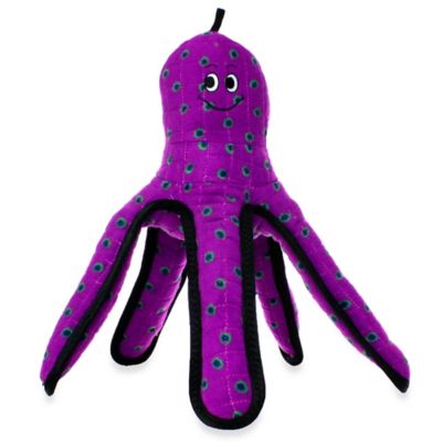 purple squeaky toy