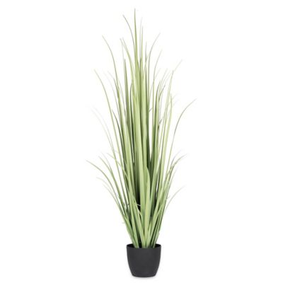 Buy 6-Foot Fabric Gladiolus Grass in Green with Black Pot from  Bed Bath & Beyond