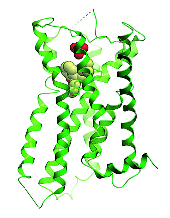 Last-scientists-solve-structure-protein