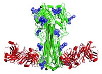 Serving the chemical, life science, and laboratory worlds