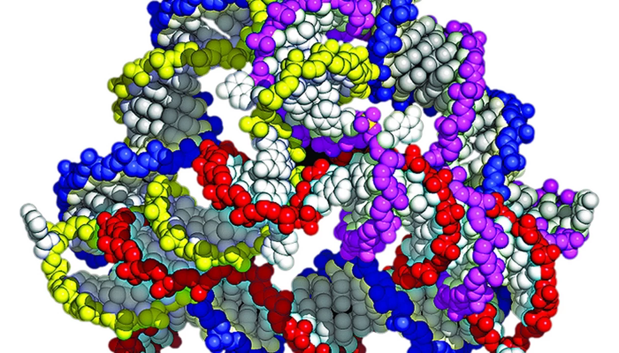DNA Cages Slip Into Cells