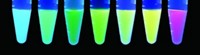 Serving the chemical, life science, and laboratory worlds
